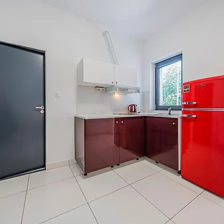 Comfort Korzeniowskiego *