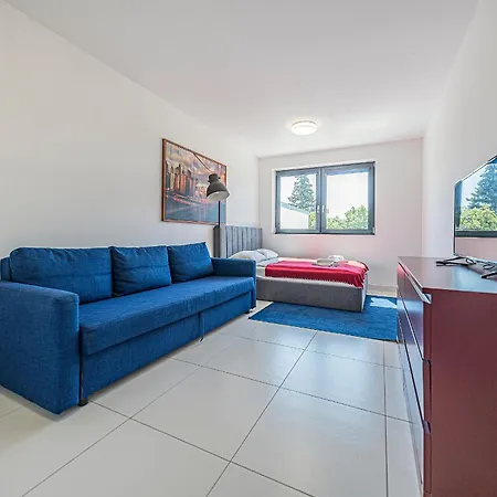 Comfort Korzeniowskiego