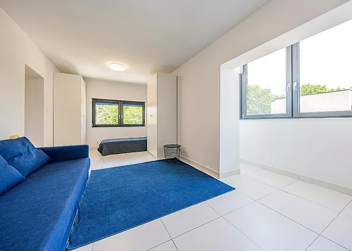 Comfort Korzeniowskiego * גדינייה